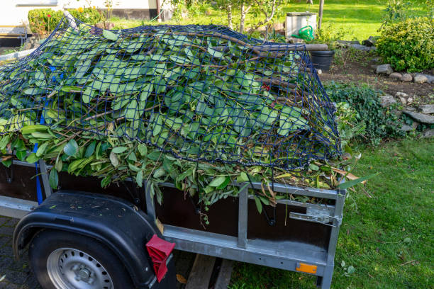 Best Recycling Services for Junk  in Madison, IL